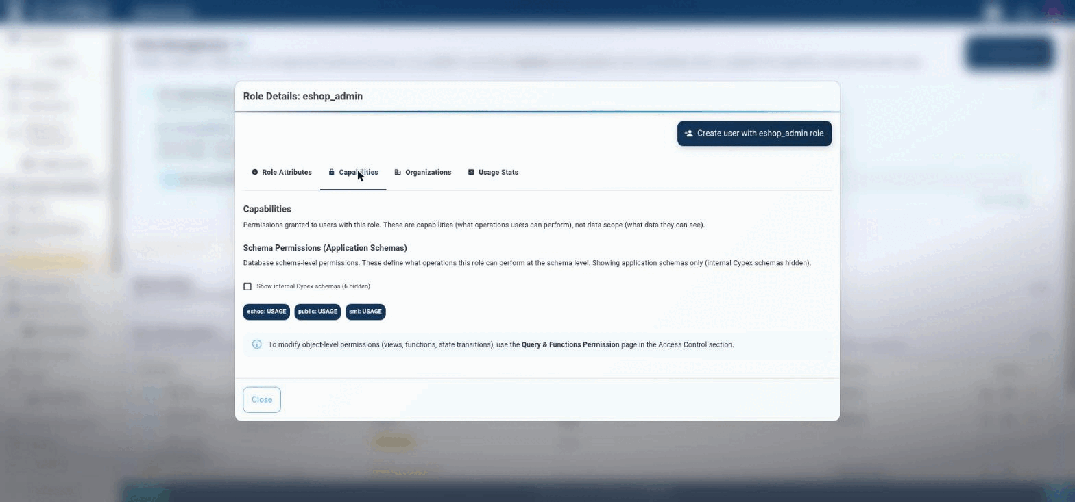 Schema-level permissions (e.g. eshop: USAGE). Object-level permissions on views, functions, and state transitions are assigned separately; review the resolved outcome on the Access Preview page.