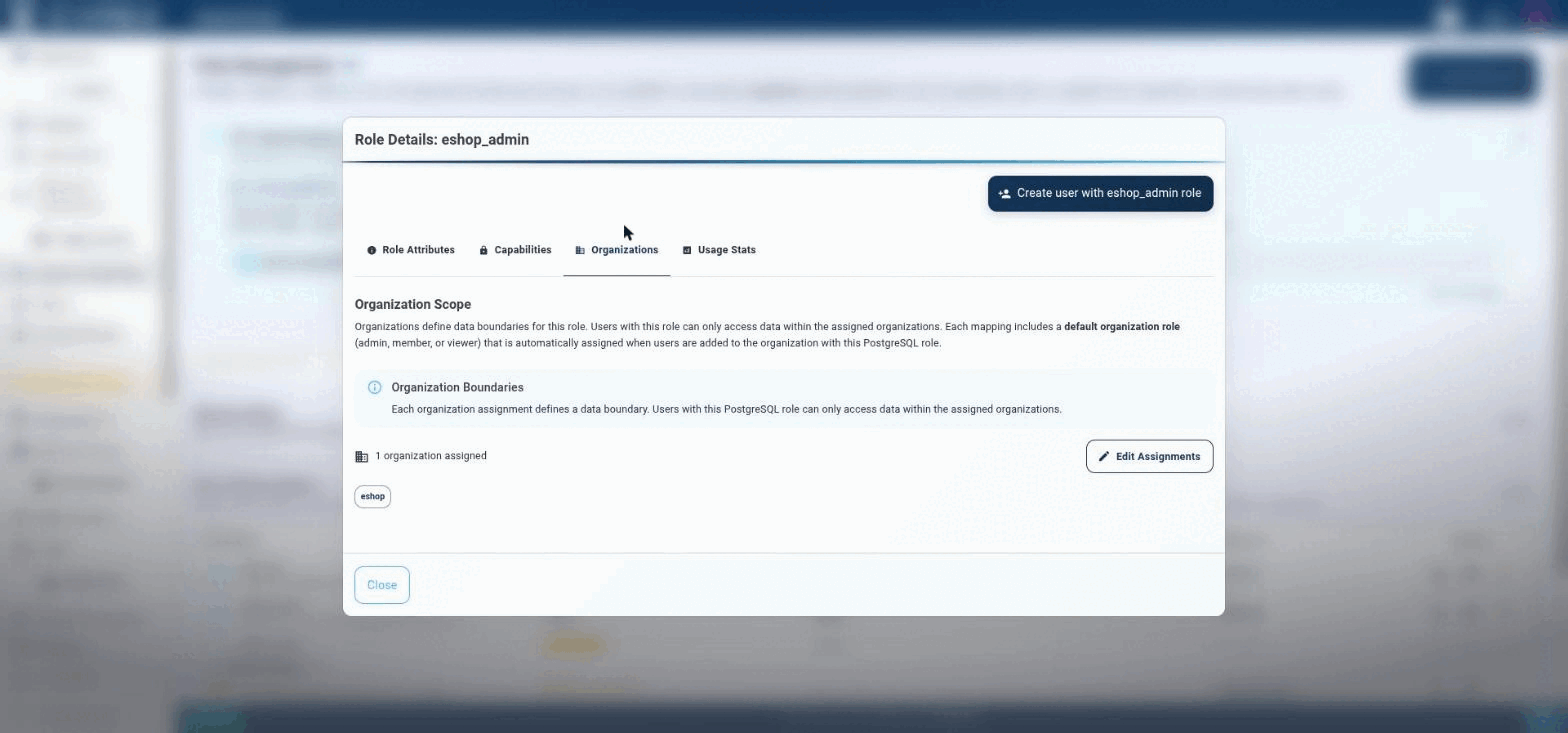 Organization Boundaries: users holding this role can only access data within the organizations assigned here.